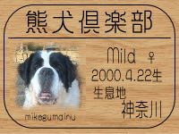 ���I�[�i�[�́A���݂ف�����ł���